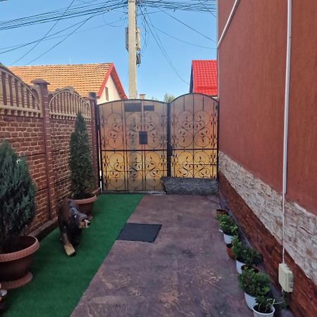 Hotel Casa Cojanu Petroşani Exteriér fotografie
