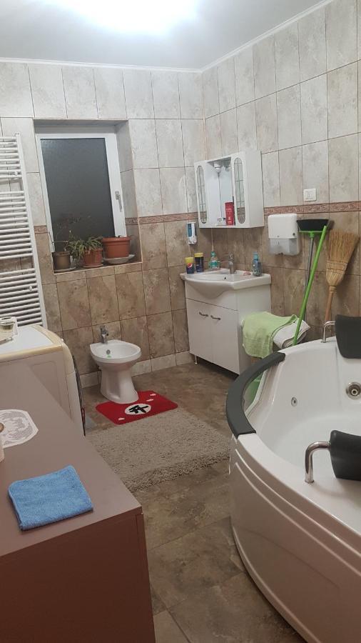 Hotel Casa Cojanu Petroşani Exteriér fotografie