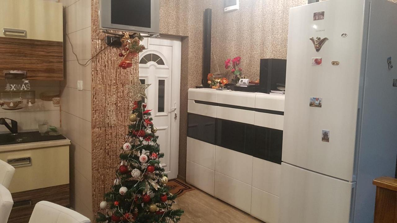 Hotel Casa Cojanu Petroşani Exteriér fotografie