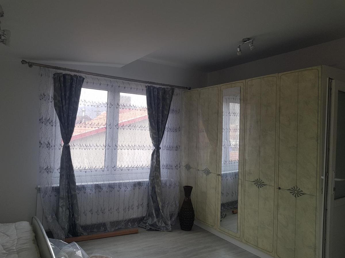 Hotel Casa Cojanu Petroşani Exteriér fotografie