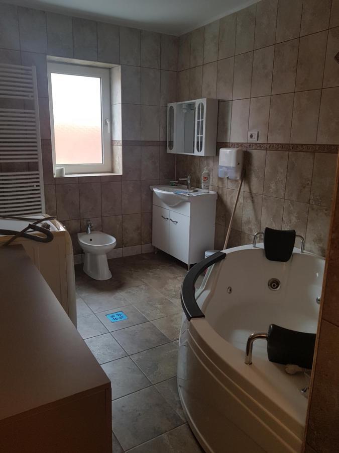 Hotel Casa Cojanu Petroşani Exteriér fotografie