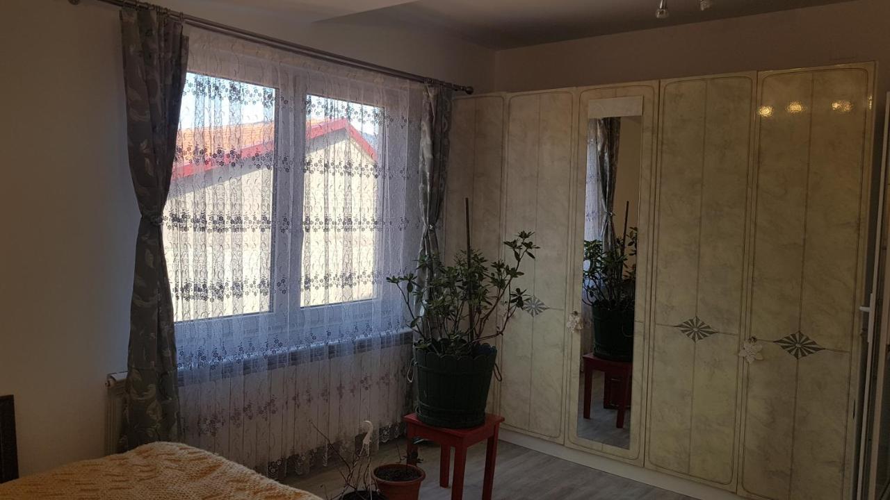 Hotel Casa Cojanu Petroşani Exteriér fotografie