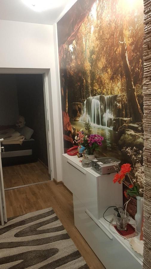 Hotel Casa Cojanu Petroşani Exteriér fotografie